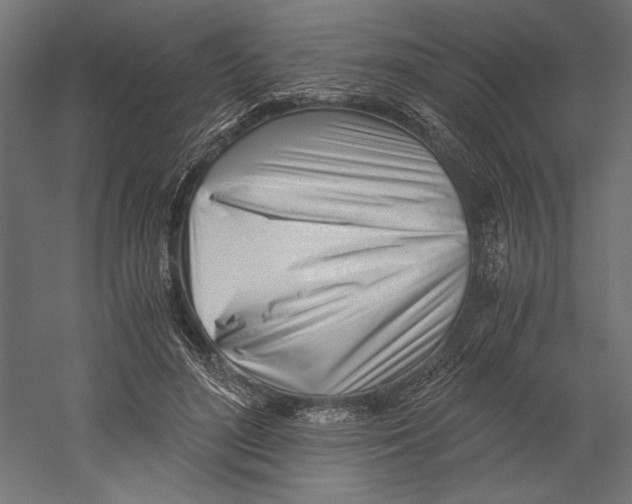 X0000060230500200511241310
