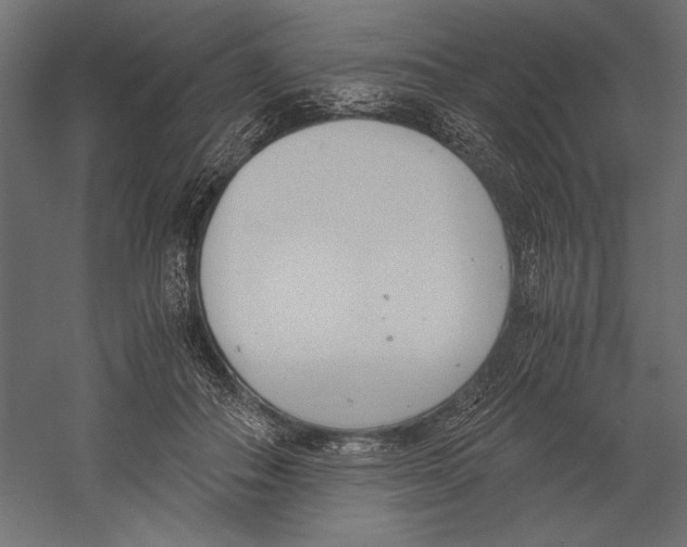 X0000060230506200511241310