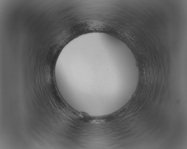 X0000060230508200511241310