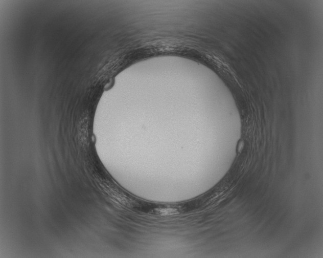 X0000060230509200511241310