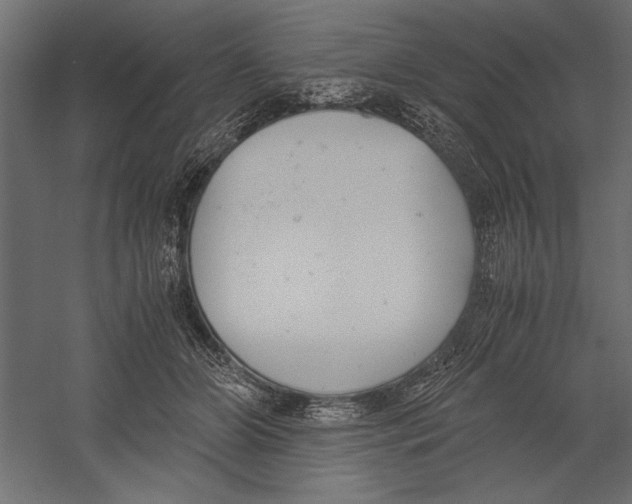 X0000060230510200511241310