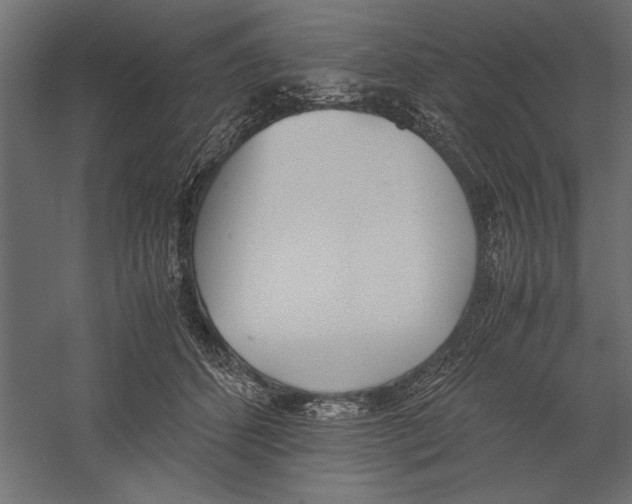 X0000060230512200511241310