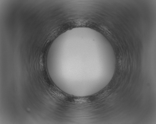 X0000060230516200511241310