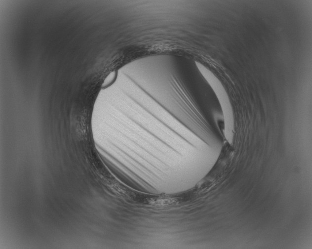 X0000060230517200511241310