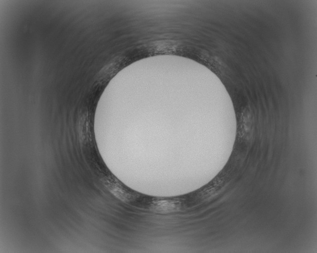 X0000060230522200511241310