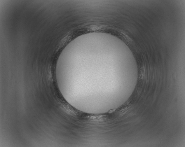 X0000060230524200511241310