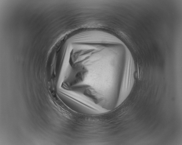 X0000060230531200511241309