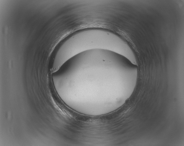 X0000060230534200511241309