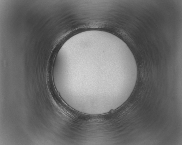 X0000060230536200511241309