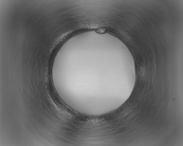 X0000060230540200511241309