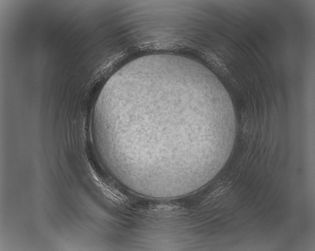 X0000060230542200511241309