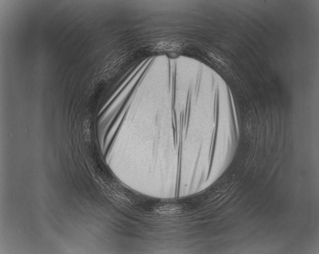 X0000060230551200511241309