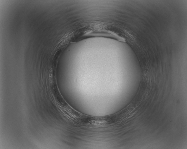 X0000060230552200511241309