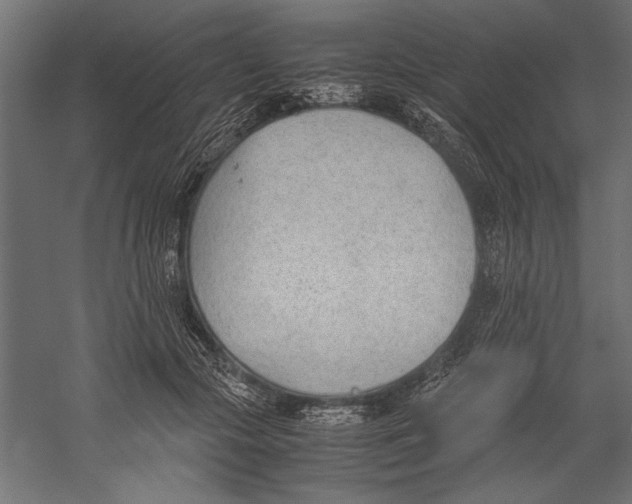 X0000060230553200511241309