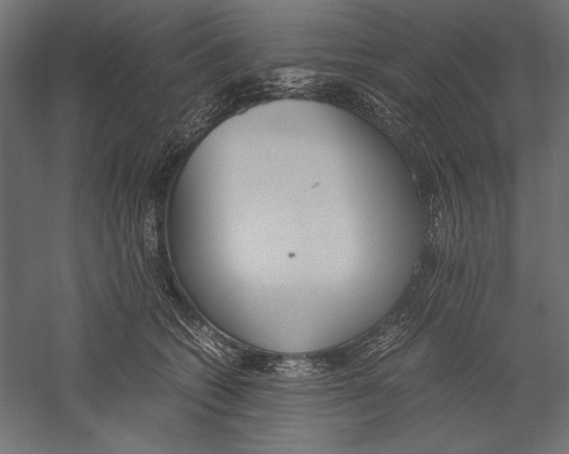 X0000060230562200511241309