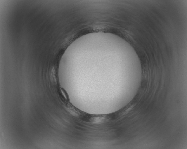 X0000060230575200511241310