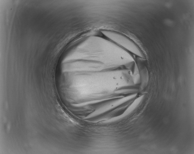 X0000060230577200511241309