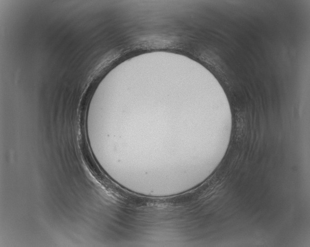 X0000060230582200511241309