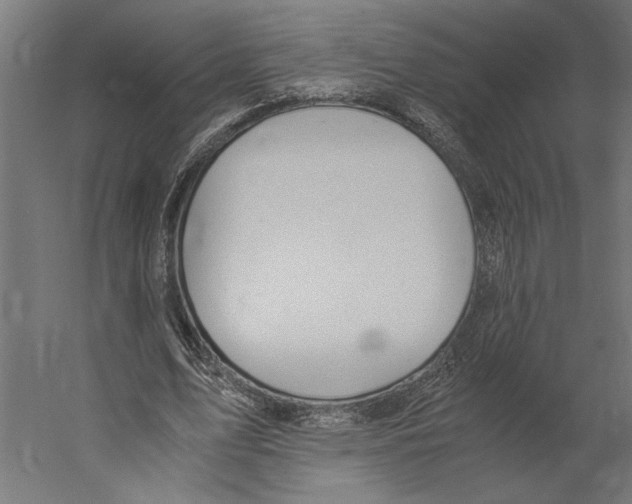 X0000060230583200511241309