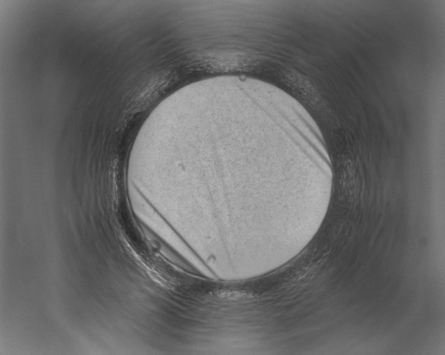X0000060230590200511241309