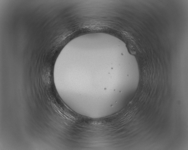 X0000060230596200511241308