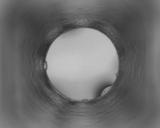 X0000060230597200511241308