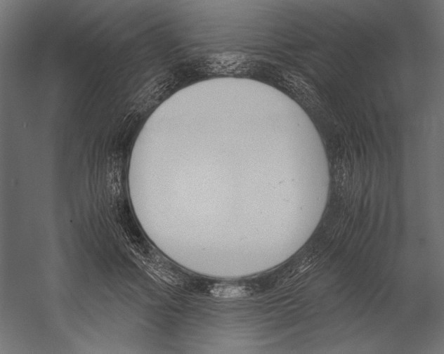 X0000060230602200511241308