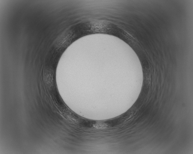 X0000060230603200511241308