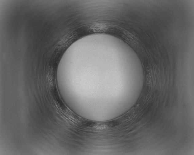 X0000060230604200511241308