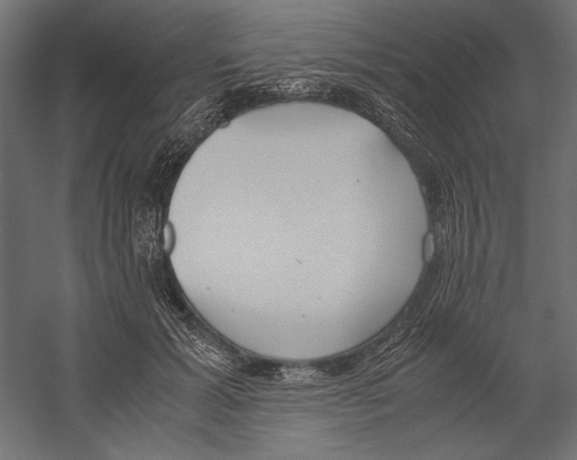 X0000060230605200511241308