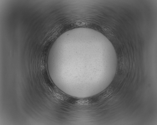 X0000060230606200511241308