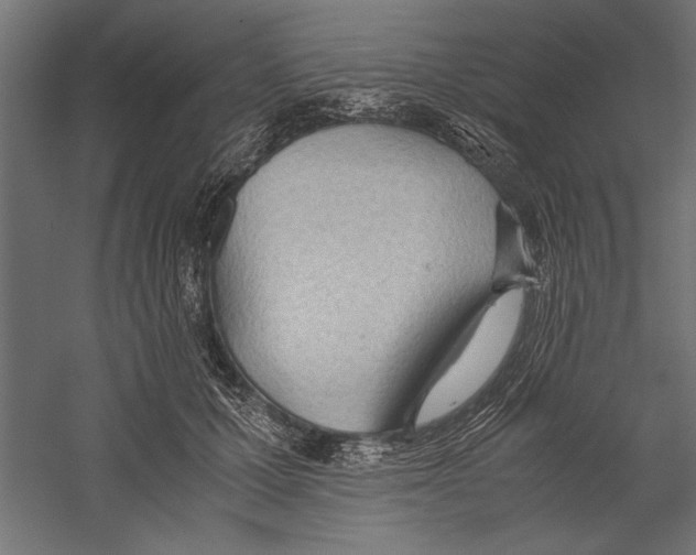 X0000060230607200511241308