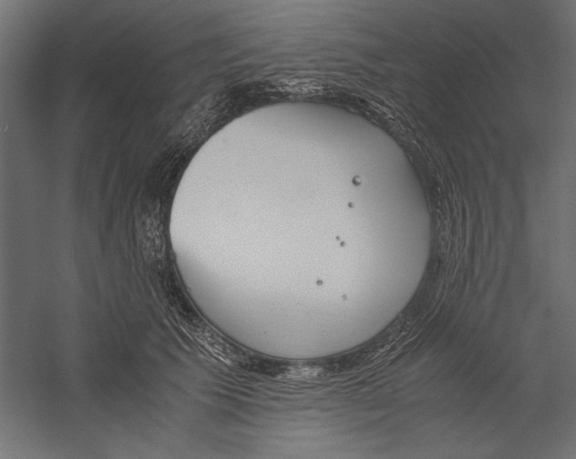 X0000060230609200511241308