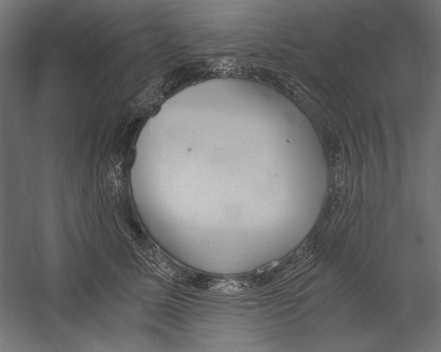 X0000060230611200511241308