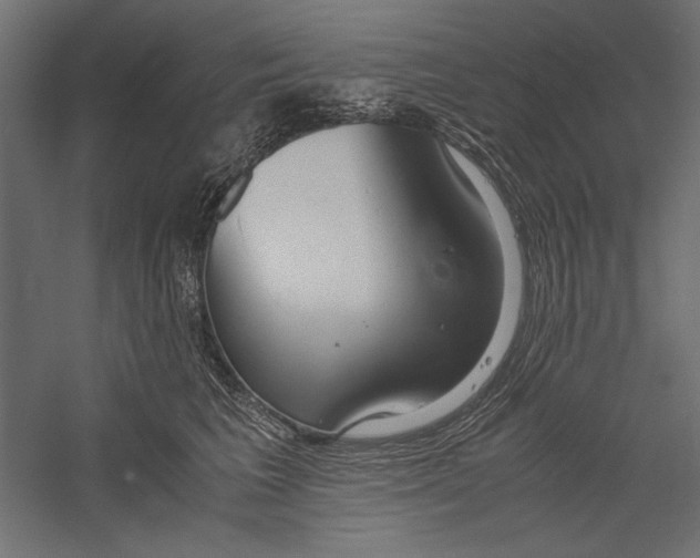 X0000060230613200511241308