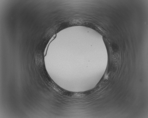 X0000060230617200511241308