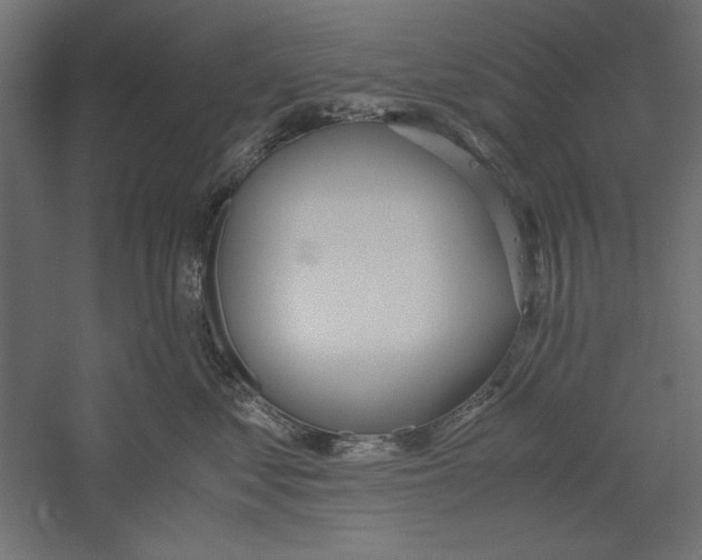 X0000060230621200511241308