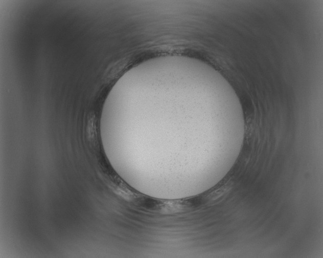 X0000060230623200511241308