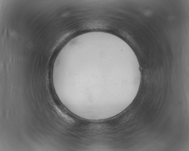 X0000060230629200511241307