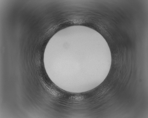 X0000060230639200511241307