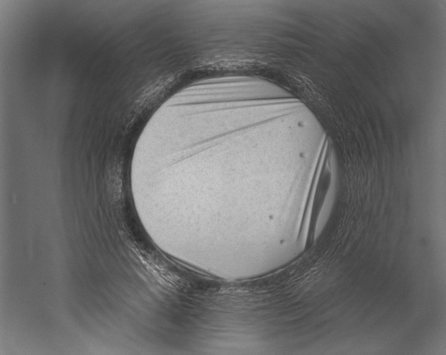 X0000060230640200511241307