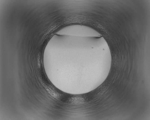 X0000060230644200511241307