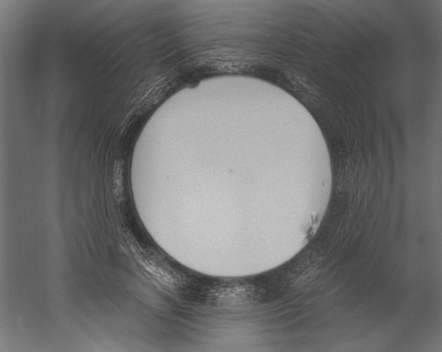 X0000060230646200511241308