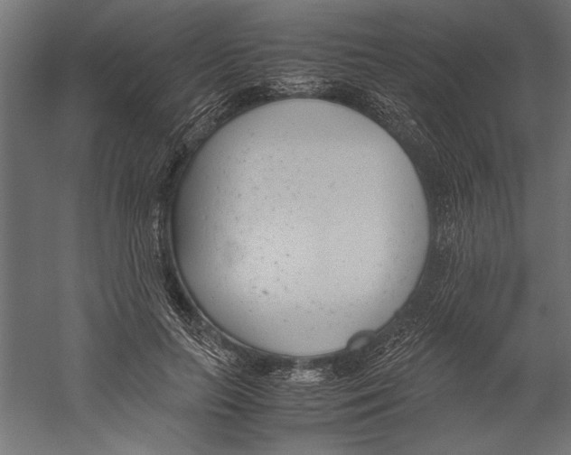 X0000060230647200511241308