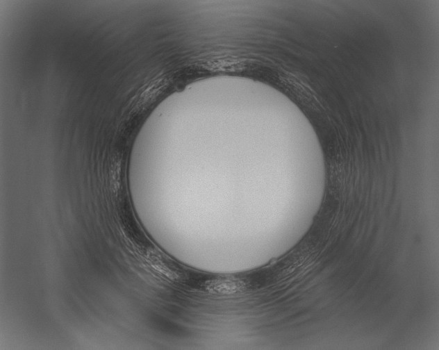 X0000060230652200511241308