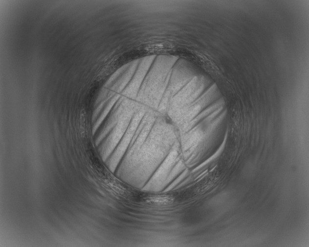 X0000060230659200511241308