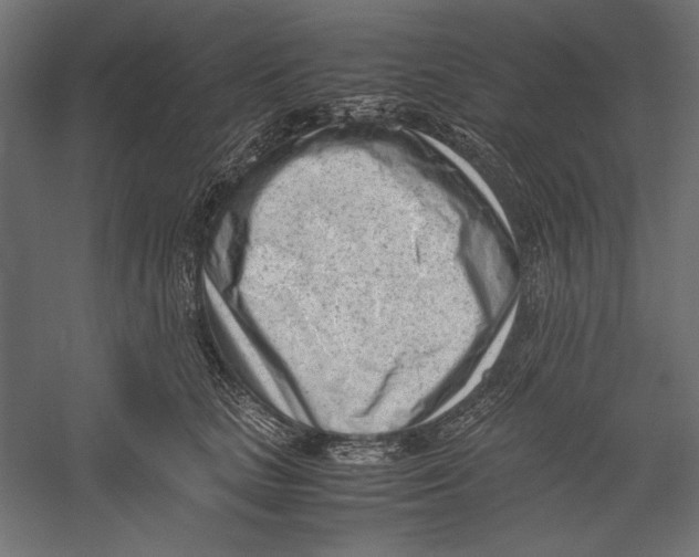 X0000060230661200511241308