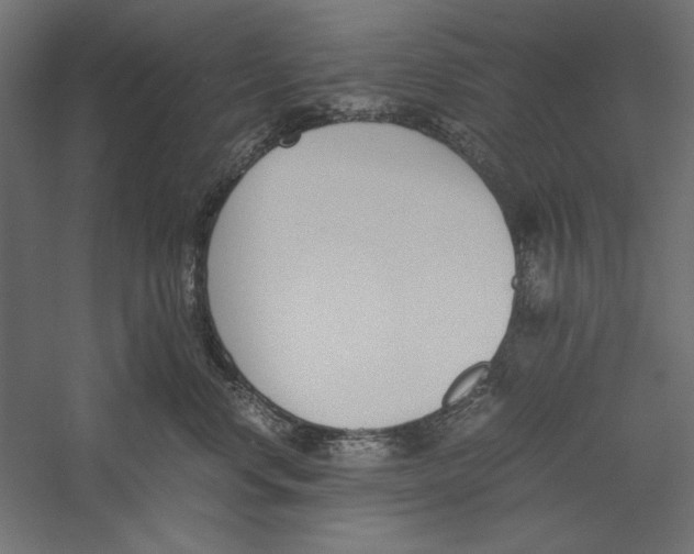 X0000060230668200511241308
