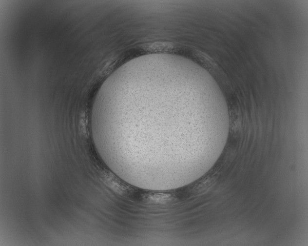 X0000060230669200511241308