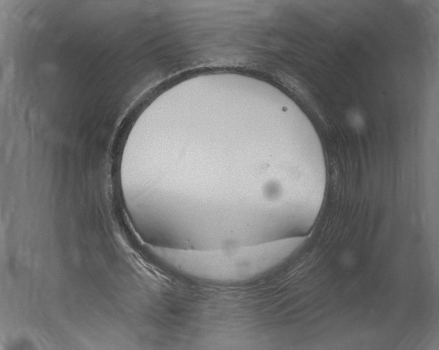 X0000060230676200511241307